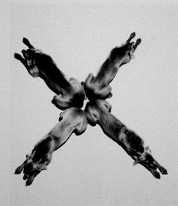 Image description is not available for 2001.082